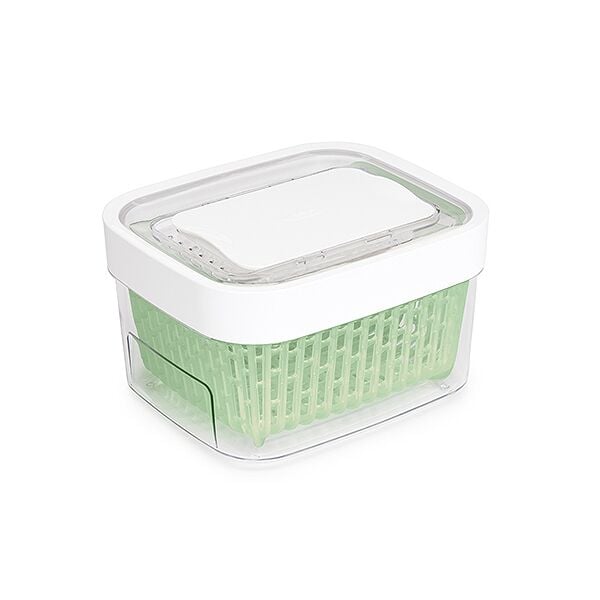 GreenSaver Produce Keeper (1.6 Qt) A9