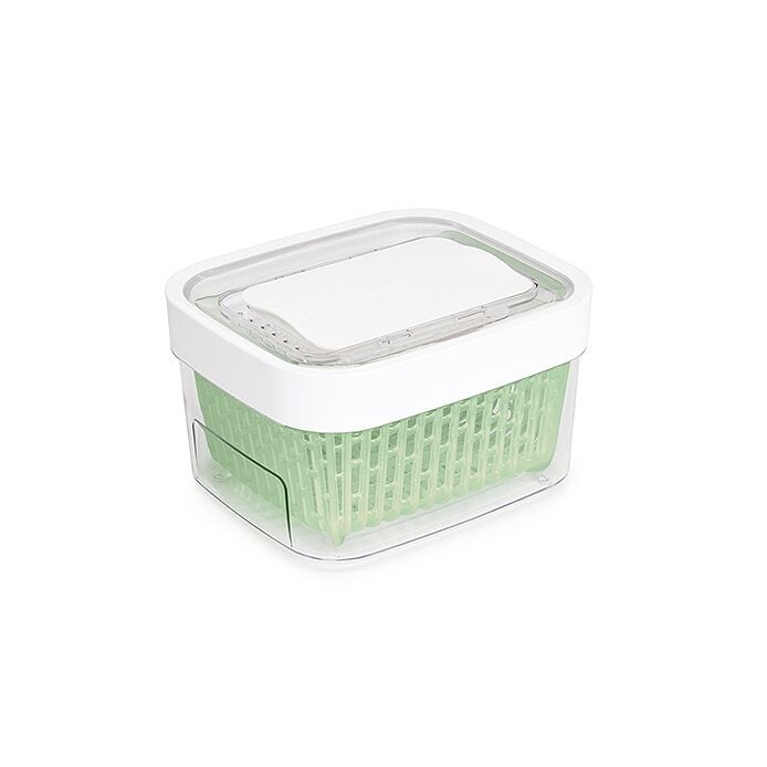 GreenSaver Produce Keeper (1.6 Qt) A9