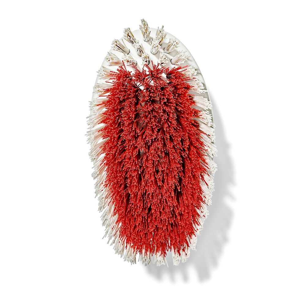 All-Purpose Scrub Brush 2-Pack K9