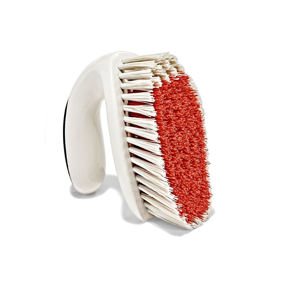 All-Purpose Scrub Brush 2-Pack S1