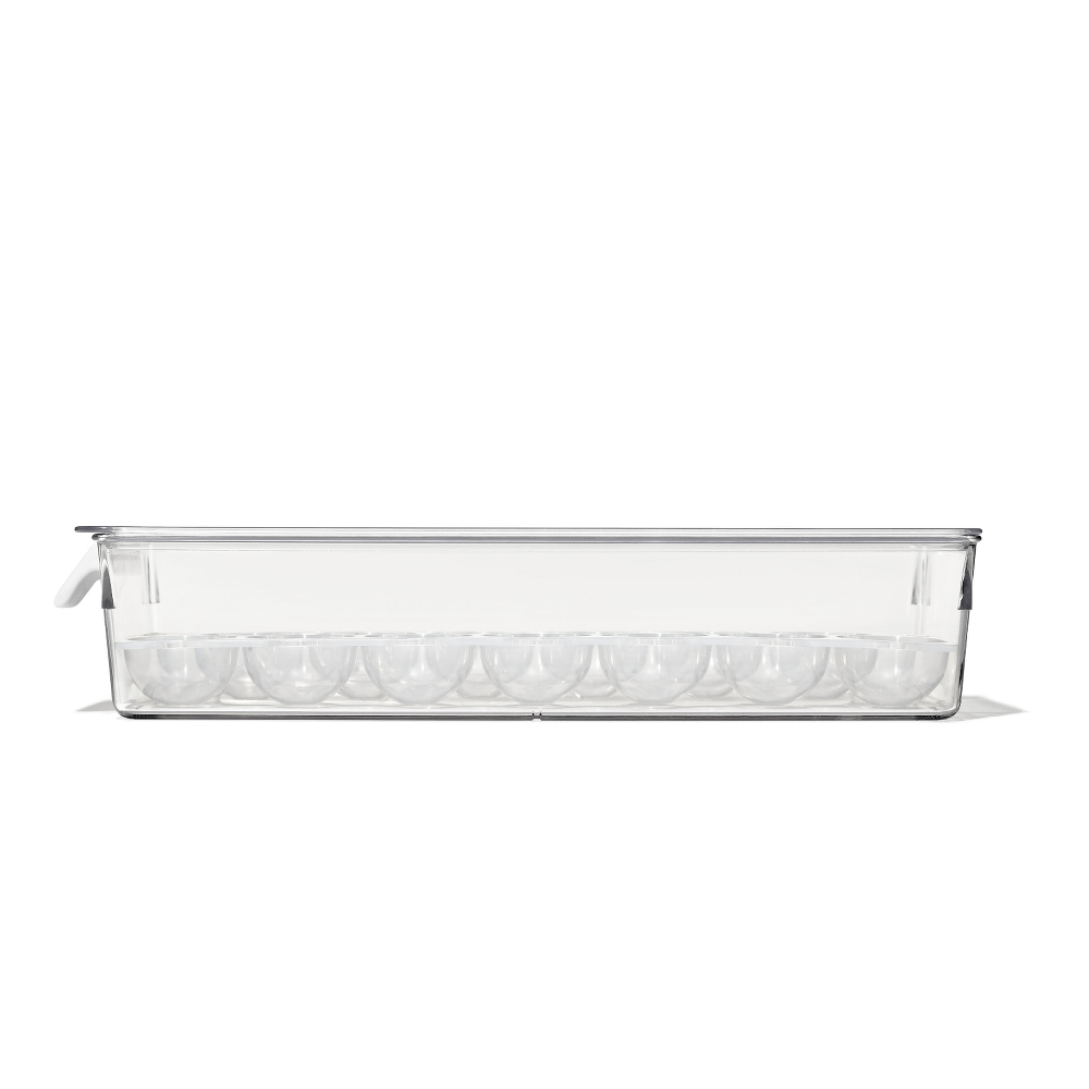 Refrigerator Egg Bin With Removable Tray B1