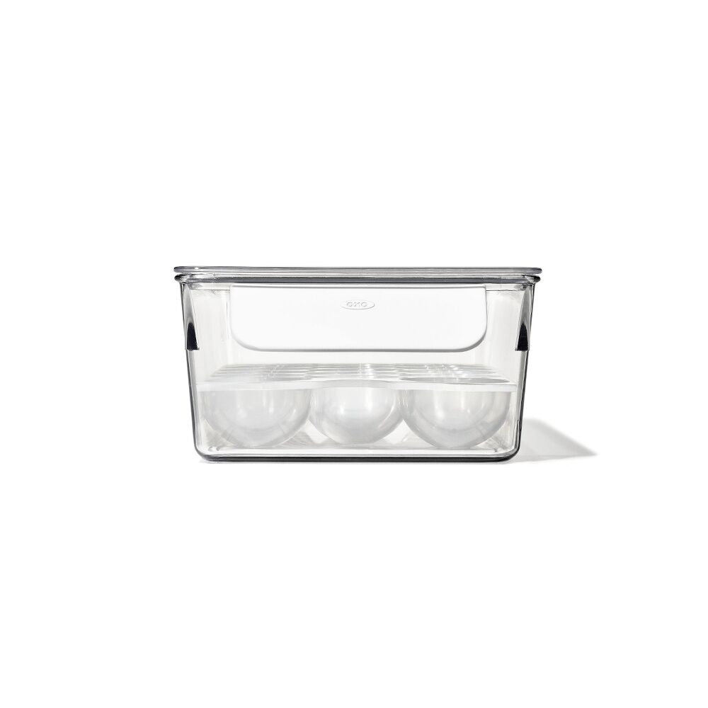 Refrigerator Egg Bin With Removable Tray B1