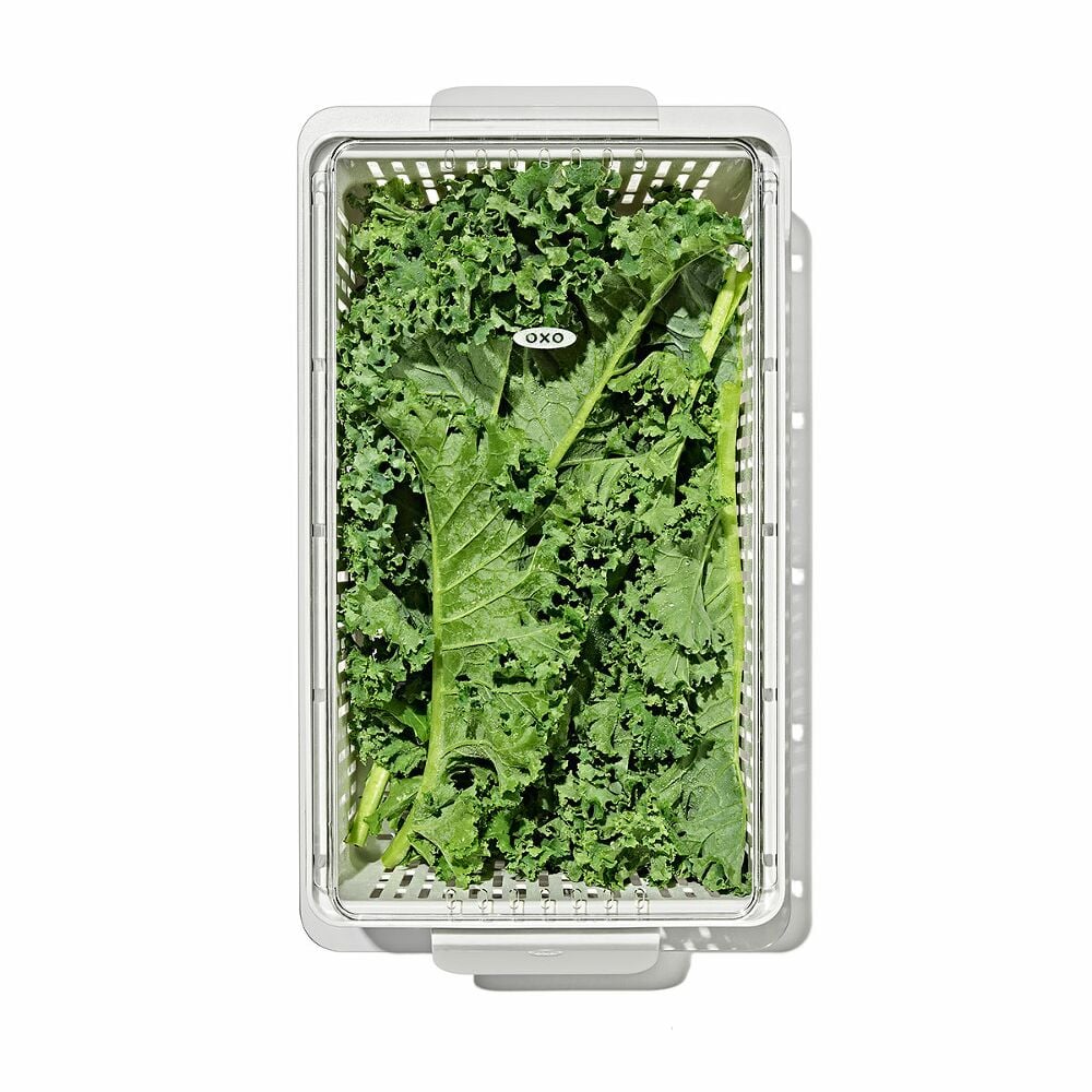 Produce Saver - Medium Bin R3