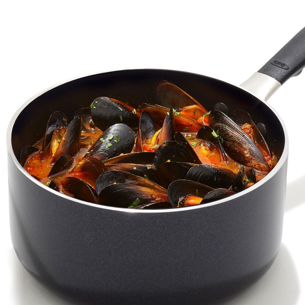 Non-Stick Pro Every Day 1.6 Qt Saucepan with Lid E8