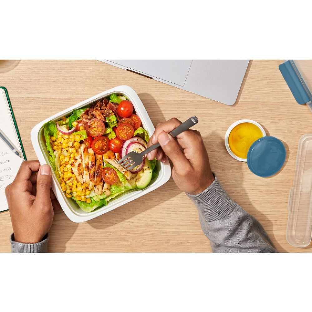 Prep & Go 3.3-Cup Container V0