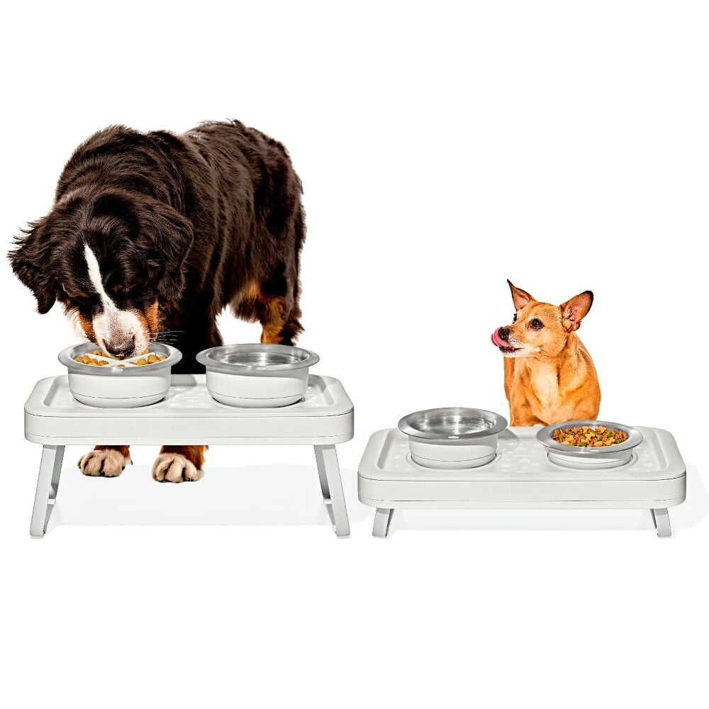 OXO Pet Adjustable Elevated Feeder G5