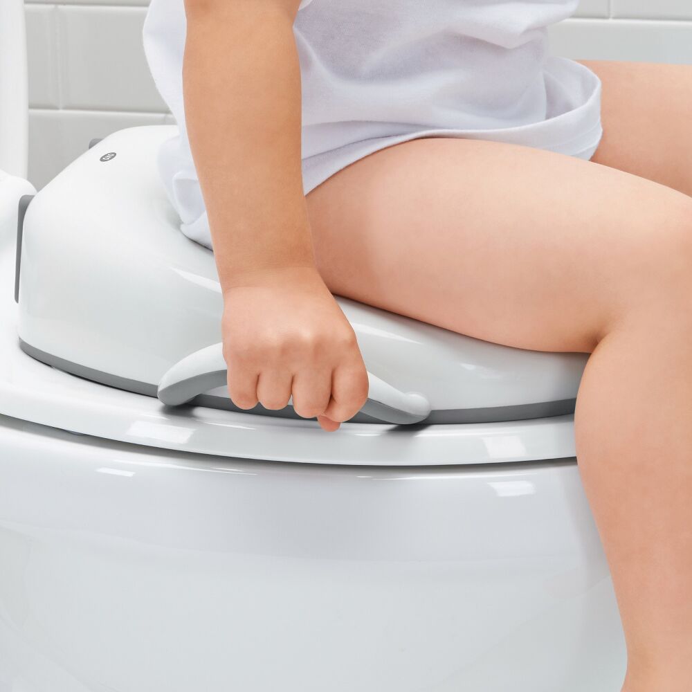 Sit Right Potty Seat - Gray B8