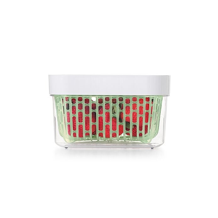 GreenSaver Produce Keeper (1.6 Qt) A9