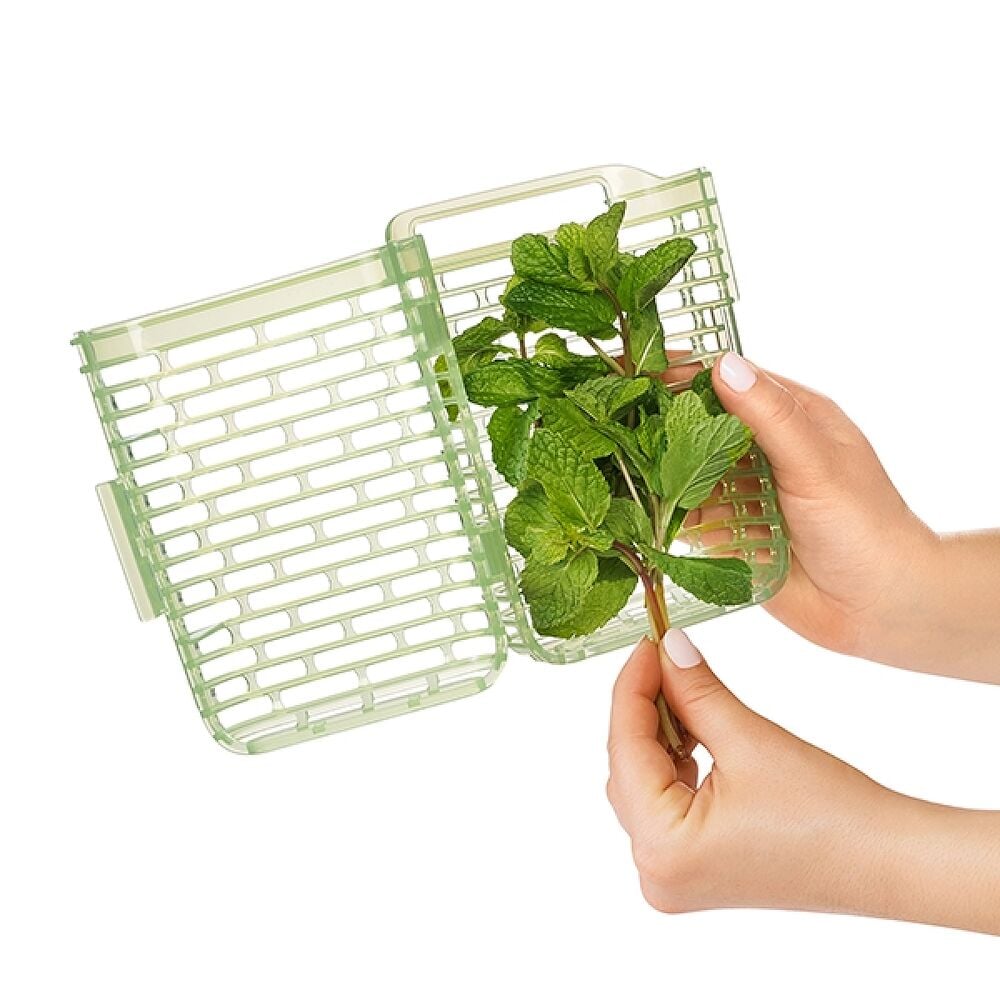 GreenSaver Herb Keeper - Small J7