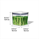 OXO Good Grips Pet POP Container – 2.8 Qt/2.6 L Q1