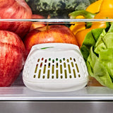 Produce Saver Crisper Drawer Insert  2-Pack Q7