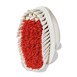 All-Purpose Scrub Brush 2-Pack K9