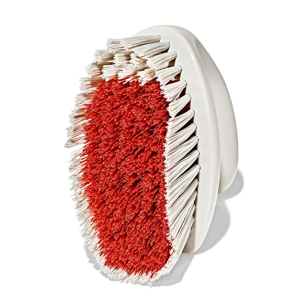 All-Purpose Scrub Brush 2-Pack K9