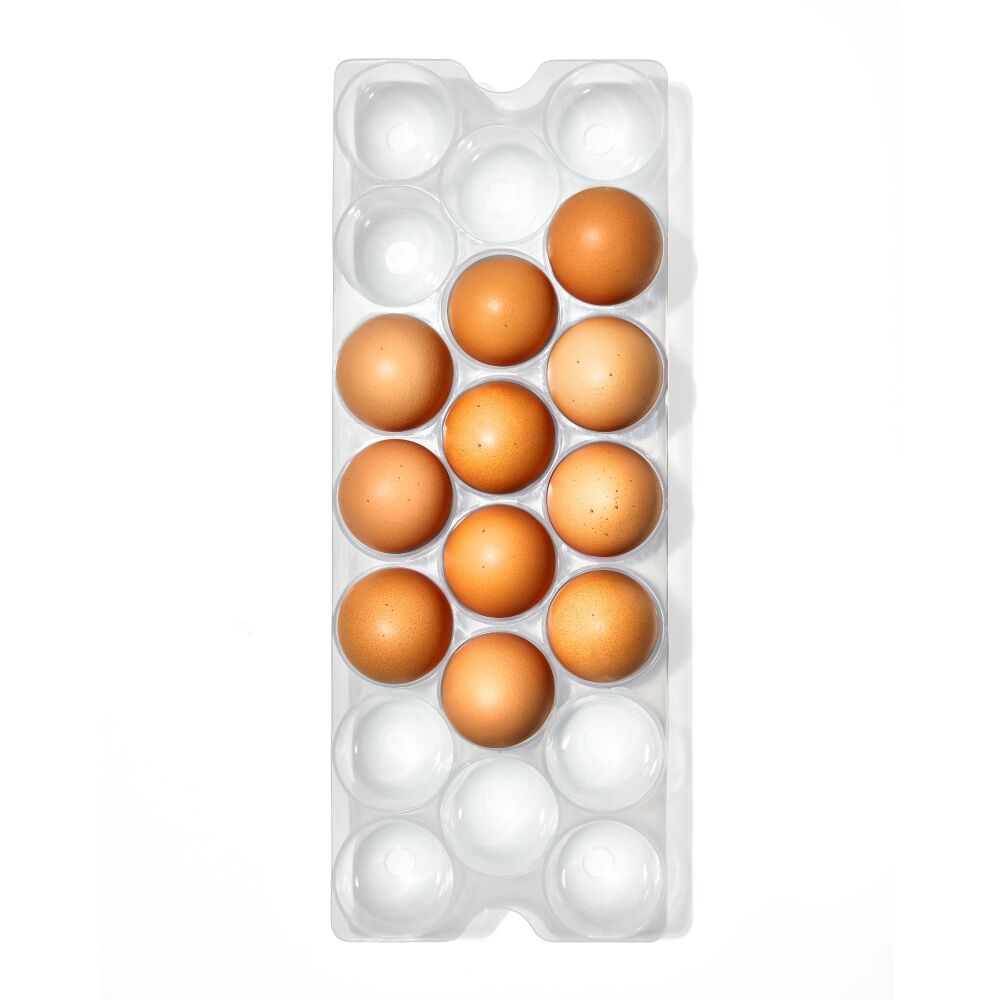 Refrigerator Egg Bin With Removable Tray B1
