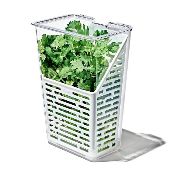 Produce Saver - Herb Keeper Q1