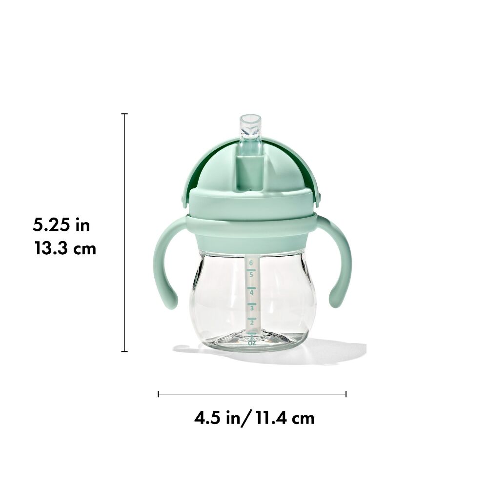 Transitions 6 Oz Straw Cup with Handles Set Z6