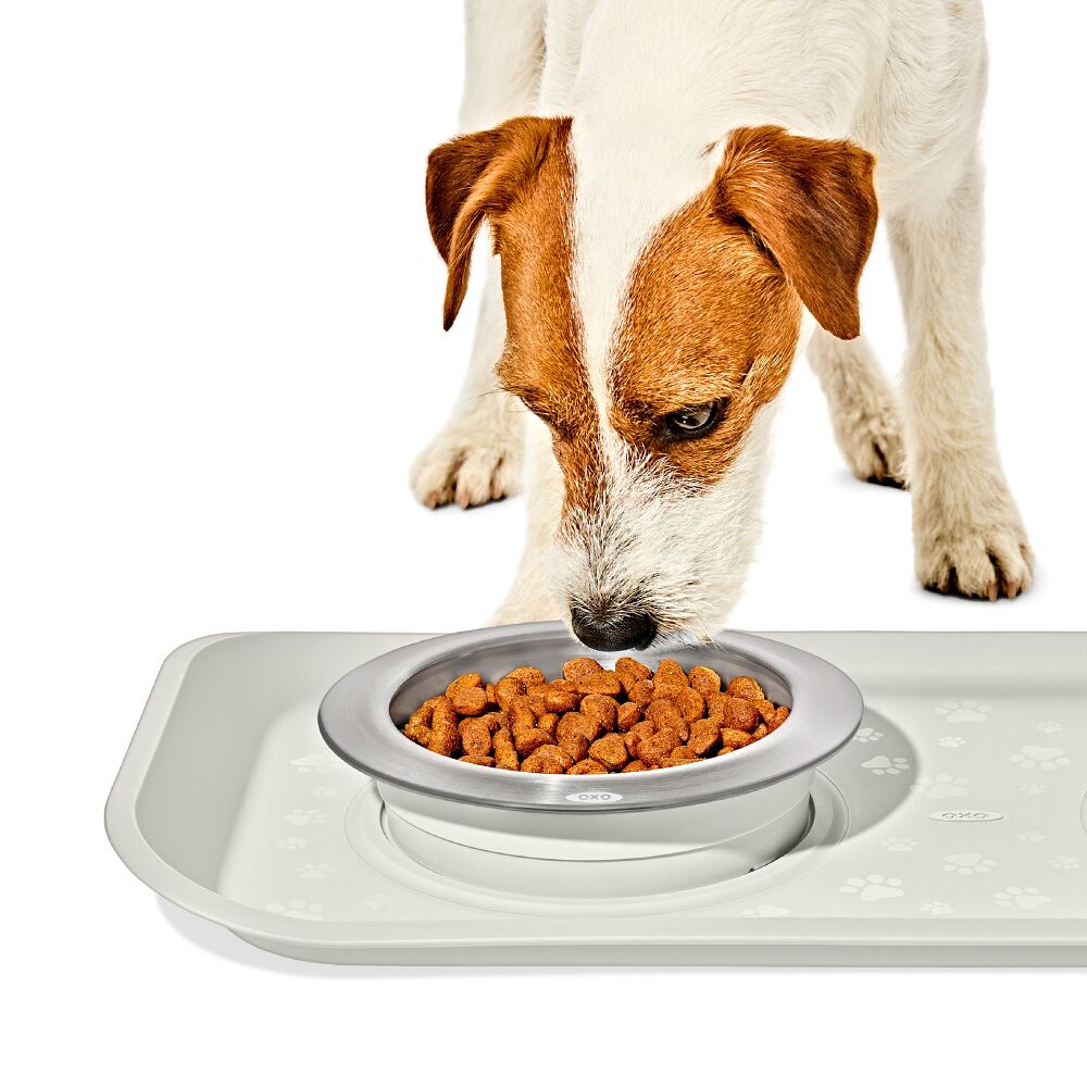 OXO Pet Nonslip Bowl - Small, 1 Cup / 240 mL P0