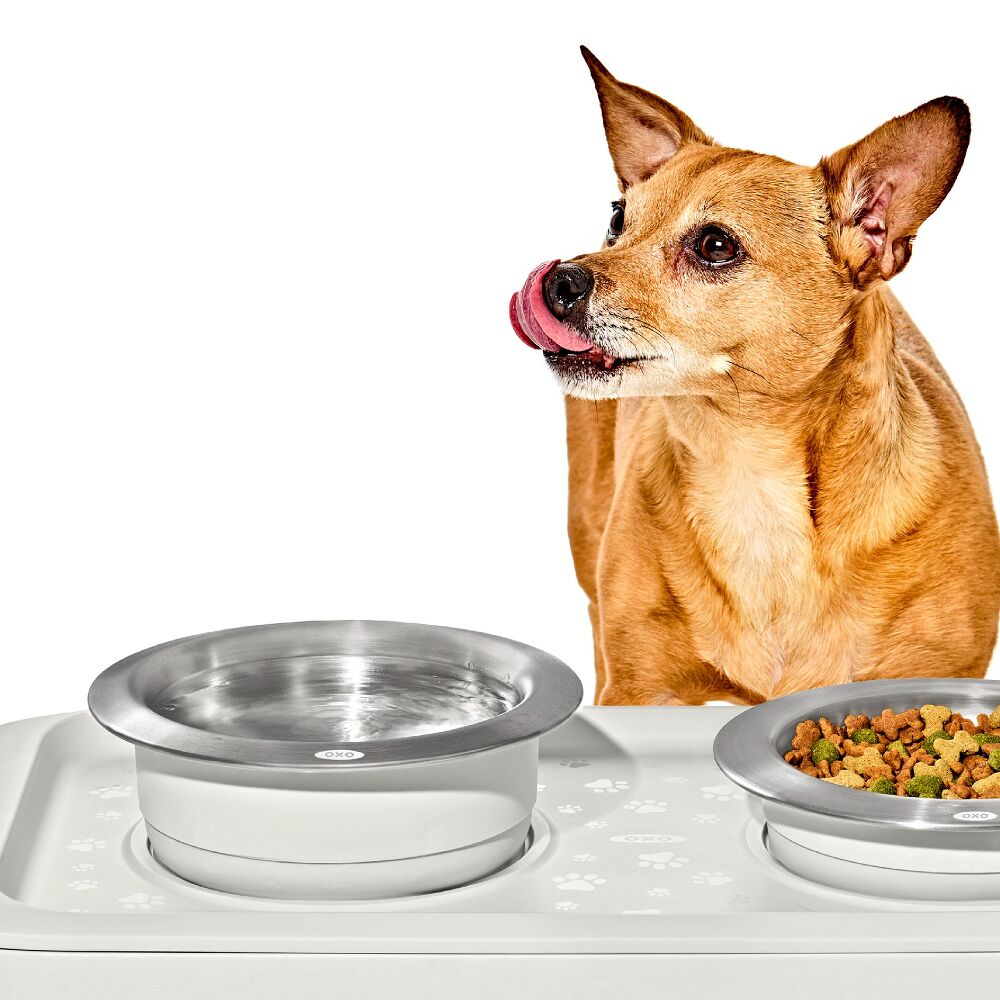 OXO Pet Nonslip Bowl - Large, 4 Cups / 950 mL I0
