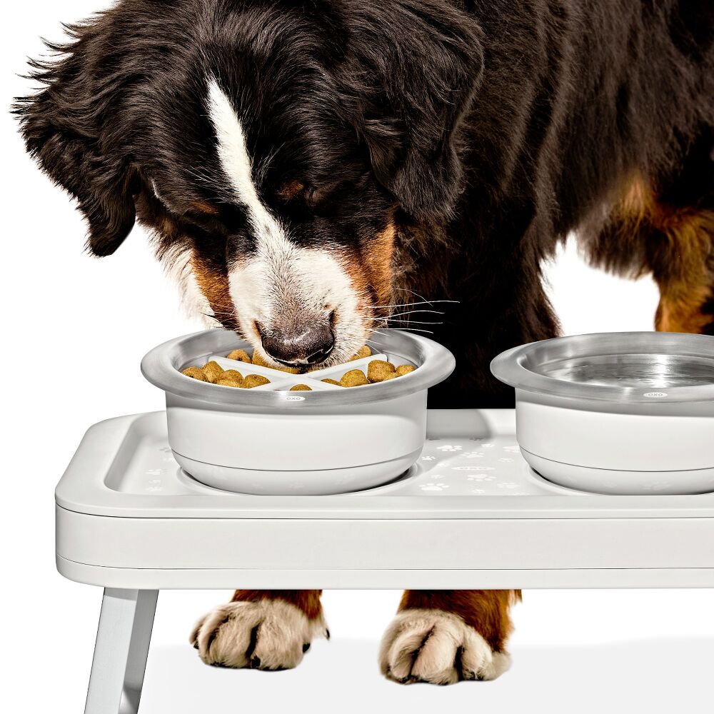 OXO Pet Easy-Clean Slow Feeder - Large, 4 Cups/950 ml U1