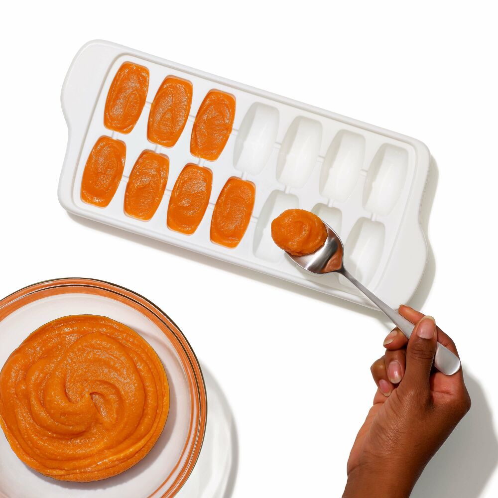 Baby Food Freezer Tray Set N0