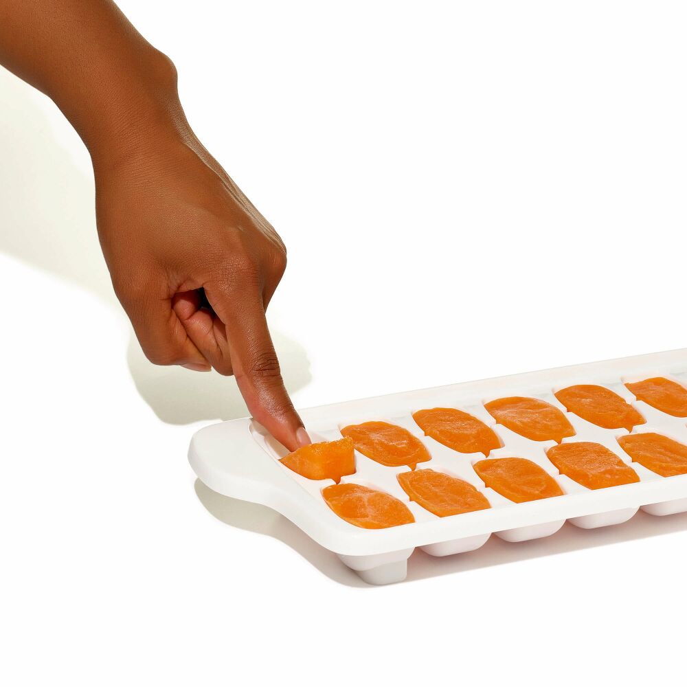 Baby Food Freezer Tray Set N0